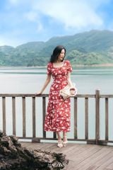 Đầm Amy