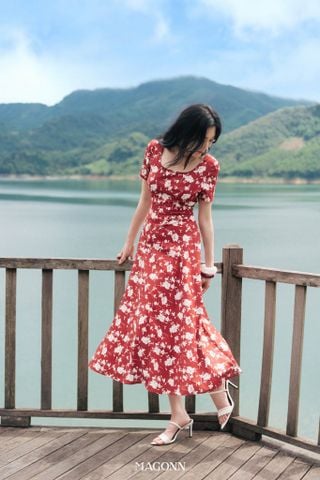 Đầm Amy