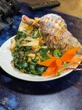  Stir-fried Triton's Trumpet Snail With Basil - Ốc Hoàng Hậu Xào Lá Quế (Giá tính theo 1 con 1 kg) 