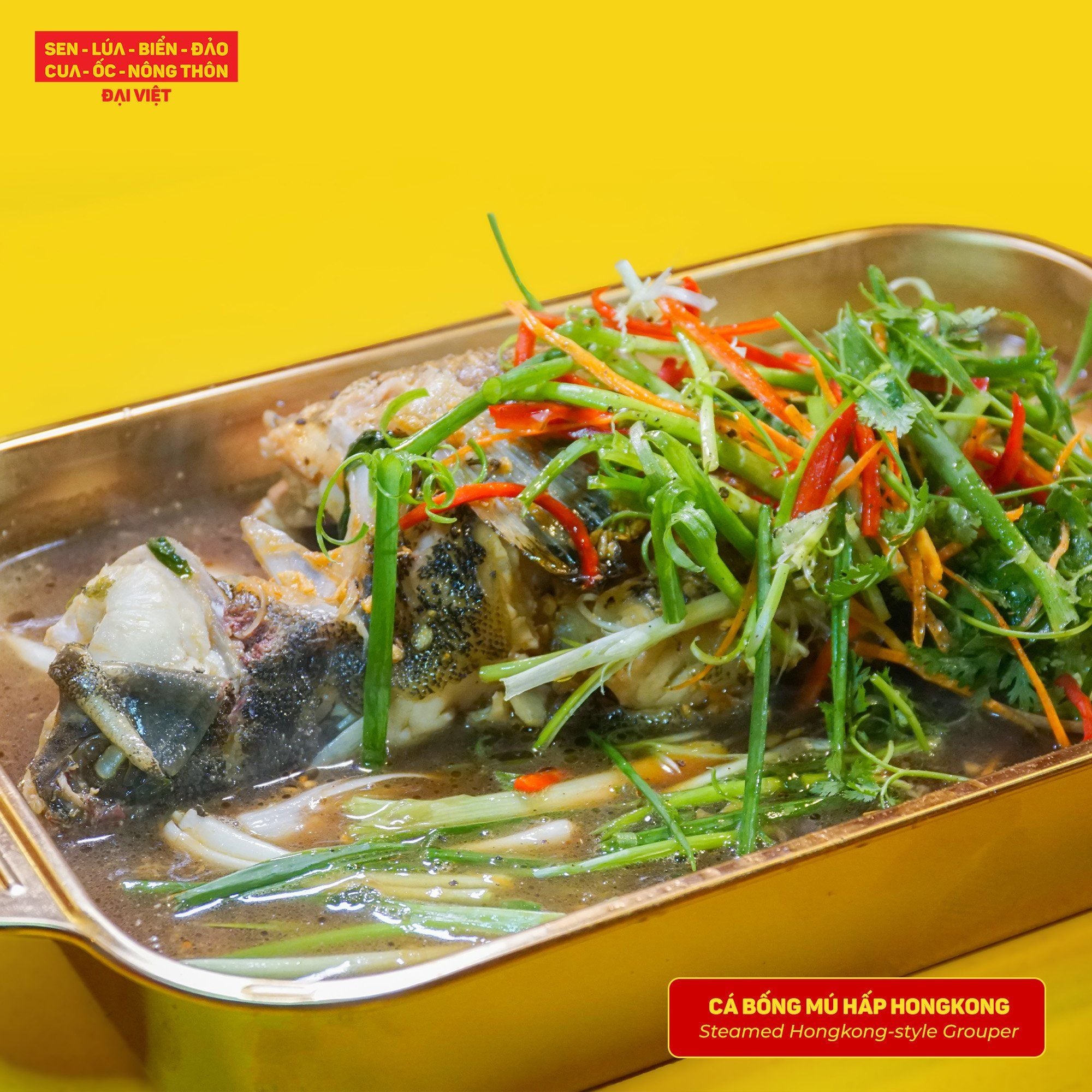  Steamed Hongkong-Style Grouper - Cá Bống Mú Hấp Hồng Kông (Giá tính theo 1 con 1 kg) 