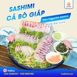  Titan Triggerfish Sashimi - Sashimi cá bò giáp (con 700g) 