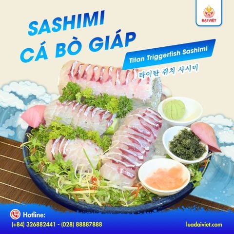  Titan Triggerfish Sashimi - Sashimi cá bò giáp (con 700g) 