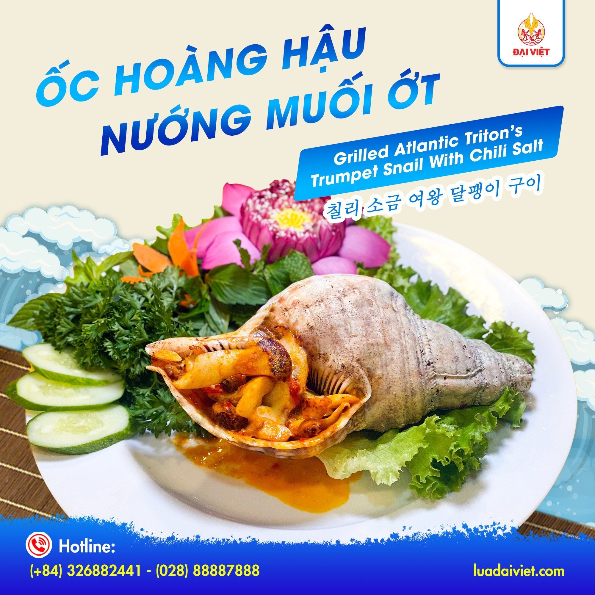  Grilled Triton's Trumpet Snail With Salt & Chilli - Ốc Hoàng Hậu Nướng Muối Ớt (Giá tính theo 1 con 1kg) 