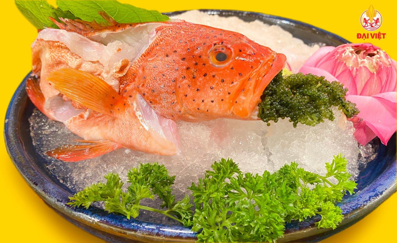  Red Grouper Sashimi (set 800 gram) - Sashimi Cá Mú Đỏ (1 con 800 gram) 
