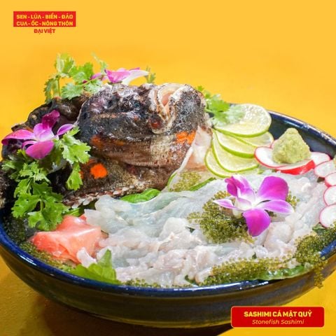  Stonefish Sashimi - Sashimi cá mặt quỷ (con 1kg) 