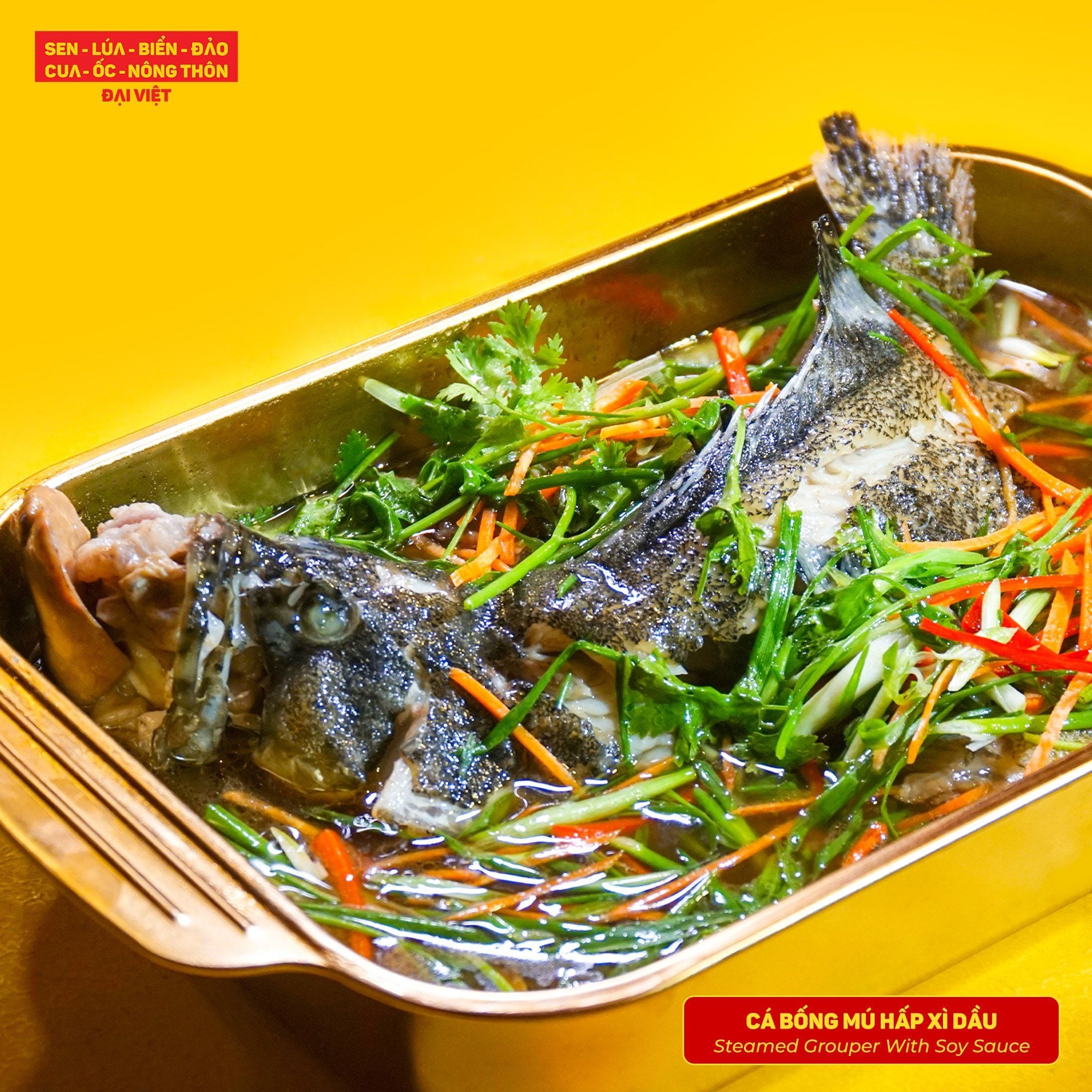  Steamed Grouper with Soy Sauce - Cá Bống Mú Hấp Xì Dầu (Giá tính theo 1 con 1 kg) 