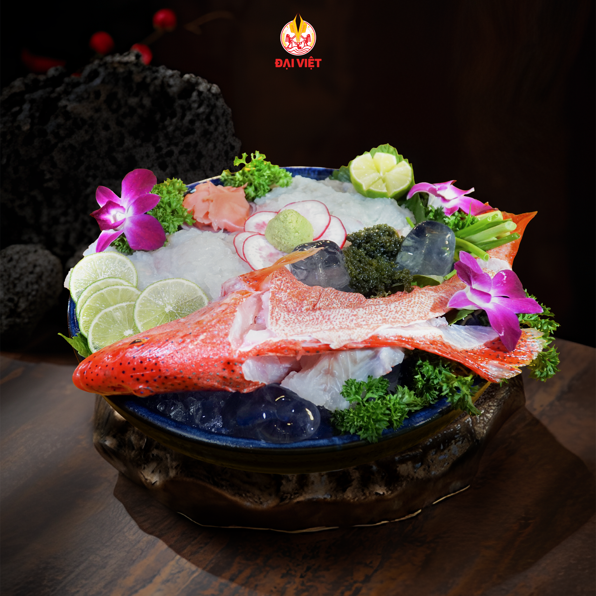  Red Grouper Sashimi (set 800 gram) - Sashimi Cá Mú Đỏ (1 con 800 gram) 