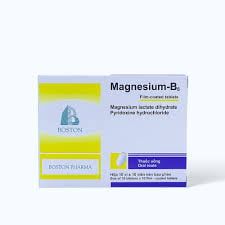 Magnesium b6 boston (h/100v)