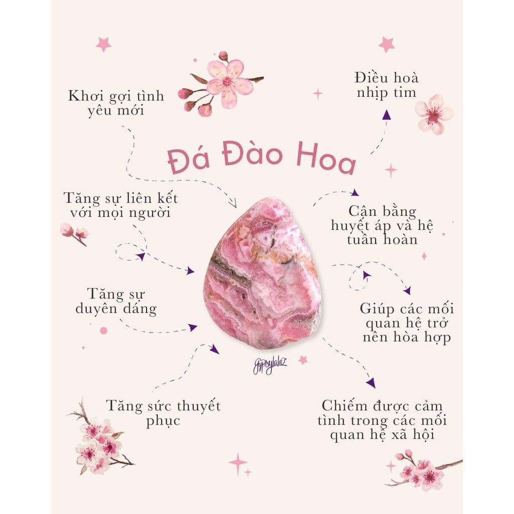  Dây Chuyền Tỳ Hưu Đá Đào Hoa (Rhodochrosite) SP001222 Gypsy.lala 