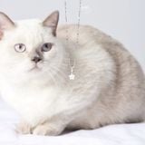  Mặt Dây Chuyền Ngôi Sao Đá Ánh Trăng SP005657 Gypsy.lala 