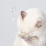  Mặt Dây Chuyền Ngôi Sao Đá Ánh Trăng SP005657 Gypsy.lala 