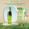 Dung Dịch Vệ Sinh Phụ Nữ Lagumi Chiết Xuất Thiên Nhiên Trầu Không Tràm Trà 100ml, Hỗ Trợ Giảm Viêm Phụ Khoa