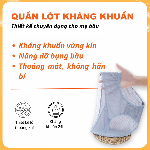 Set 5 Quần lót bầu Vic của Lynafa cạp chéo kháng khuẩn 3 lớp carbon hoạt tính (Màu ngẫu nhiên)