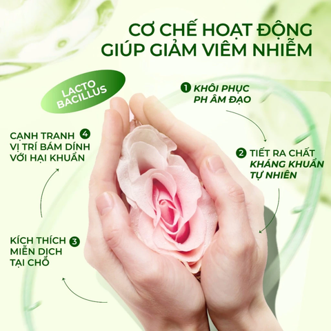 Men vi sinh phụ nữ LAGUMI PROBIOTIC bổ sung 7 tỷ lợi khuẩn, cân bằng pH và hệ khuẩn