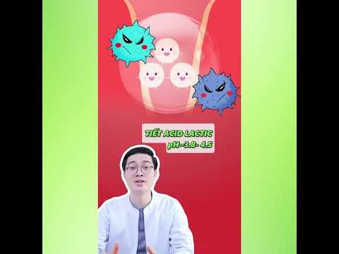 Combo 3 Hộp Men Vi Sinh LAGUMI Bổ sung lợi khuẩn - An Toàn Cho Bầu