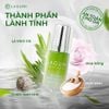 Lăn khử mùi tràm trà Lagumi không muối nhôm công nghệ ngăn mùi Nhật Bản khô thoáng đến 24h dung tích 30ml