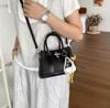  Túi xách mini công sở kèm charm vịt mix ngọc 