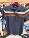  Áo Polo Dinas Cá Mập Cổ Bẻ Nam 