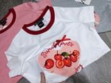  Áo thun baby tee nữ 