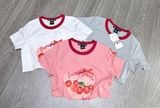  Áo thun baby tee nữ 