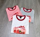  Áo thun baby tee nữ 
