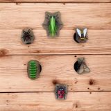  Set jibbitz charm 2D cao cấp gắn trang trí dép Dinas 