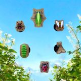  Set Jibbitz charms sticker côn trùng gắn dép sục 