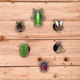  Set Jibbitz charms sticker côn trùng gắn dép sục 