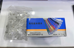 Hạt mạng xuyên thấu Cat6