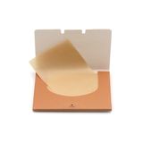  10 TỆP giấy thấm dầu (100 tờ mỗi tệp) chiết xuất từ ​​hạt lanh dành cho bạn gái Giấy thấm dầu cho da mặt PK954 (ORDER) 