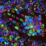  [ORDER] Đập hộp 100 túi mù được cho vào hộp hình thỏi son Lipstick và Cupcake 