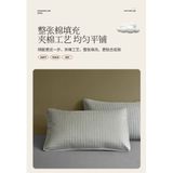  Vỏ Bảo Vệ Gối 100% Cotton Chống Bẩn, Ve, Mồ Hôi [GIAO HÀNG 2-10 NGÀY | SỈ TỪ 2 TRIỆU | CÓ THỂ IN LOGO] 
