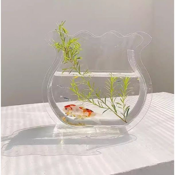  Bể Cá Để Bàn Acrylic Trong Suốt Hình Đuôi Cá Cho Cá Betta [GIAO HÀNG 2-10 NGÀY | SỈ TỪ 2 TRIỆU | CÓ THỂ IN LOGO] 