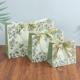  Túi nút file my clear bag A4 đa năng nhiều màu - bìa lưu trữ tài liệu công sở classyz 