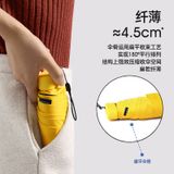  Ví Đựng Thẻ + Ô Che Nắng Gấp Gọn Mini - Combo Cầm Tay Siêu Nhỏ Gọn, Chống UV, Quà Tặng Doanh Nghiệp Bán Sỉ [GIAO HÀNG 2-10 NGÀY | SỈ TỪ 2 TRIỆU | CÓ THỂ IN LOGO] 