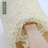  Bàn Chải Cọ Xát Lưng Bằng Mướp Tự Nhiên - Nhà Máy Cung Cấp Trực Tiếp [GIAO HÀNG 2-10 NGÀY | SỈ TỪ 2 TRIỆU | CÓ THỂ IN LOGO] 