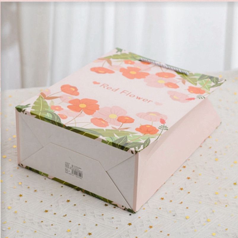  Túi giấy Classy chắc chắn, lý tưởng cho quà tặng và shopping tiện lợi Q1495 