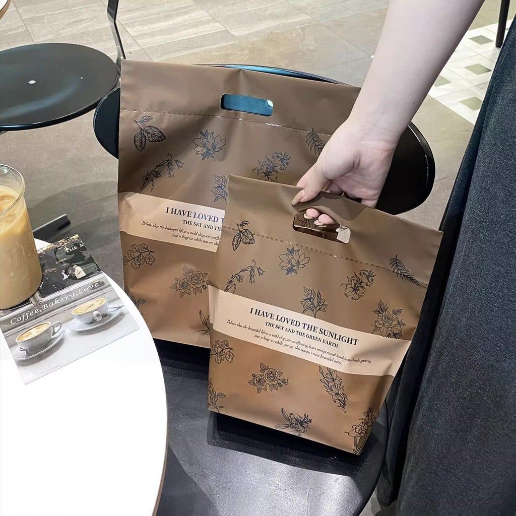 Túi Nhựa Nhỏ Dày Đựng Đồ Trang Sức Đồ Lót Cho Cửa Hàng Quần Áo Cao Cấp 