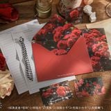  Bộ giấy thư và phong bì hoa hồng lãng mạn, set viết thư vintage cao cấp 