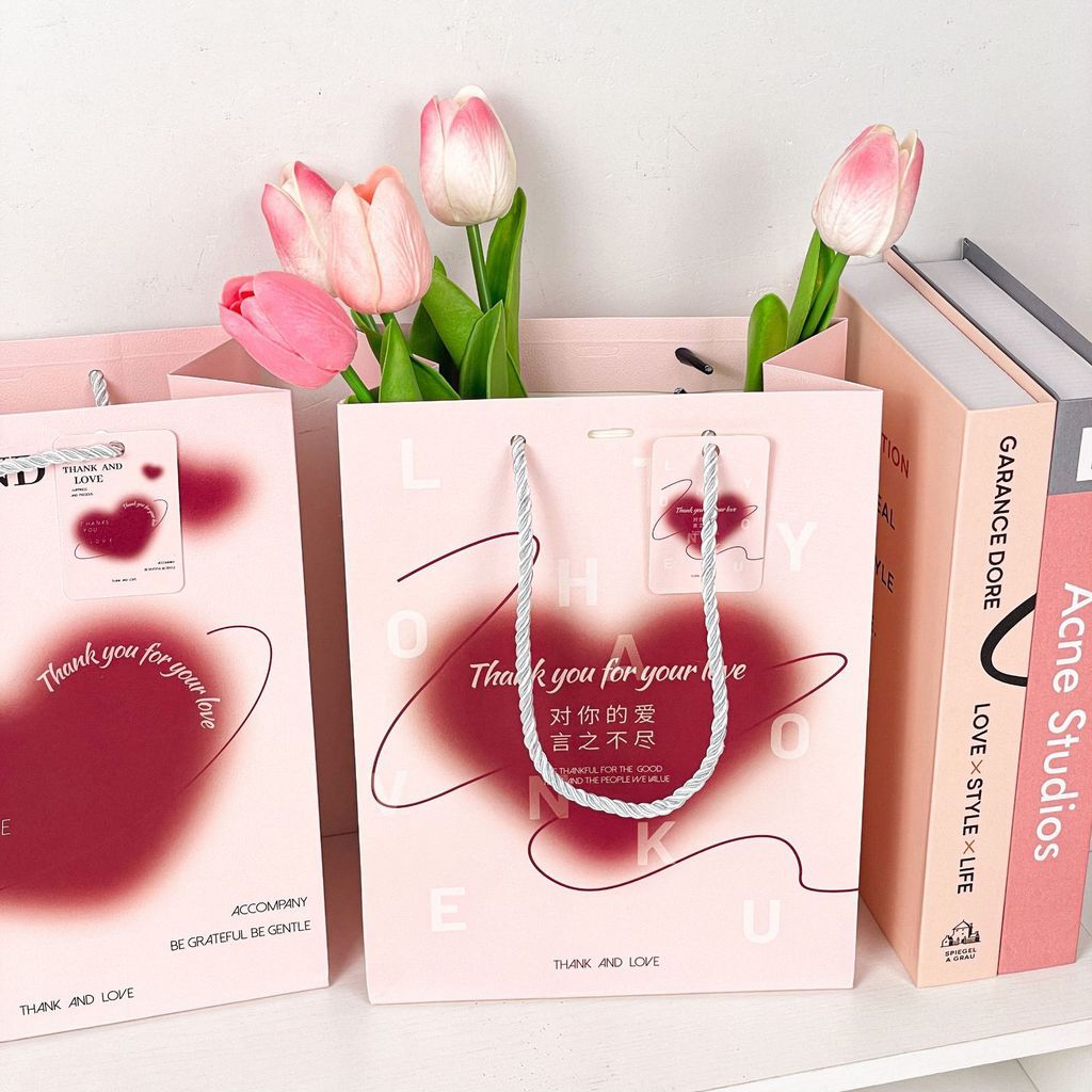  Túi quà tặng cao cấp cho ngày lễ, túi giấy đựng quà đẹp 