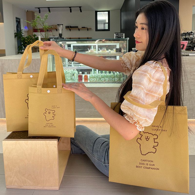  Túi vải không dệt khóa ẩn, túi đóng gói quần áo shop thời trang 