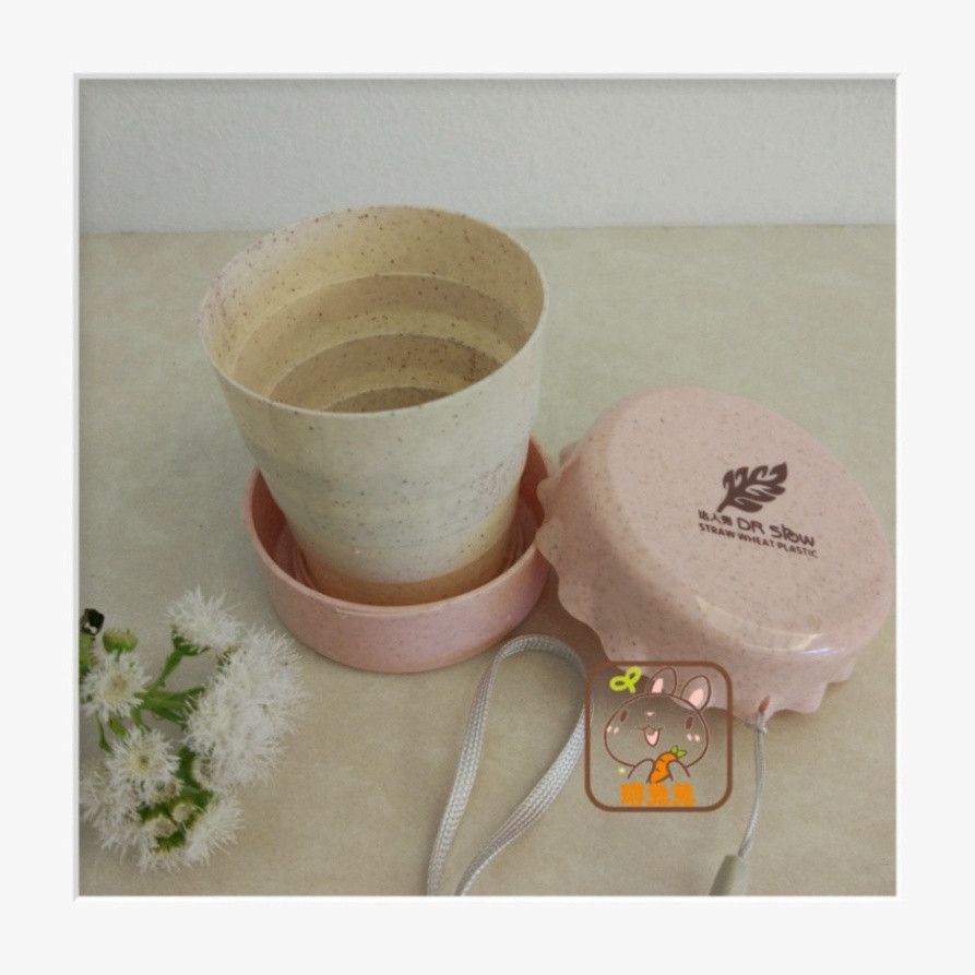  Ly nước hoa quả gấp gọn Classy nhiều màu - bạn đồng hành lý tưởng cho mọi chuyến đi! 