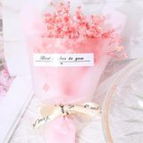  Bộ 10 Bó hoa khô mini Classy nhiều sắc màu - Quà tặng & Trang trí ấn tượng Q1361 