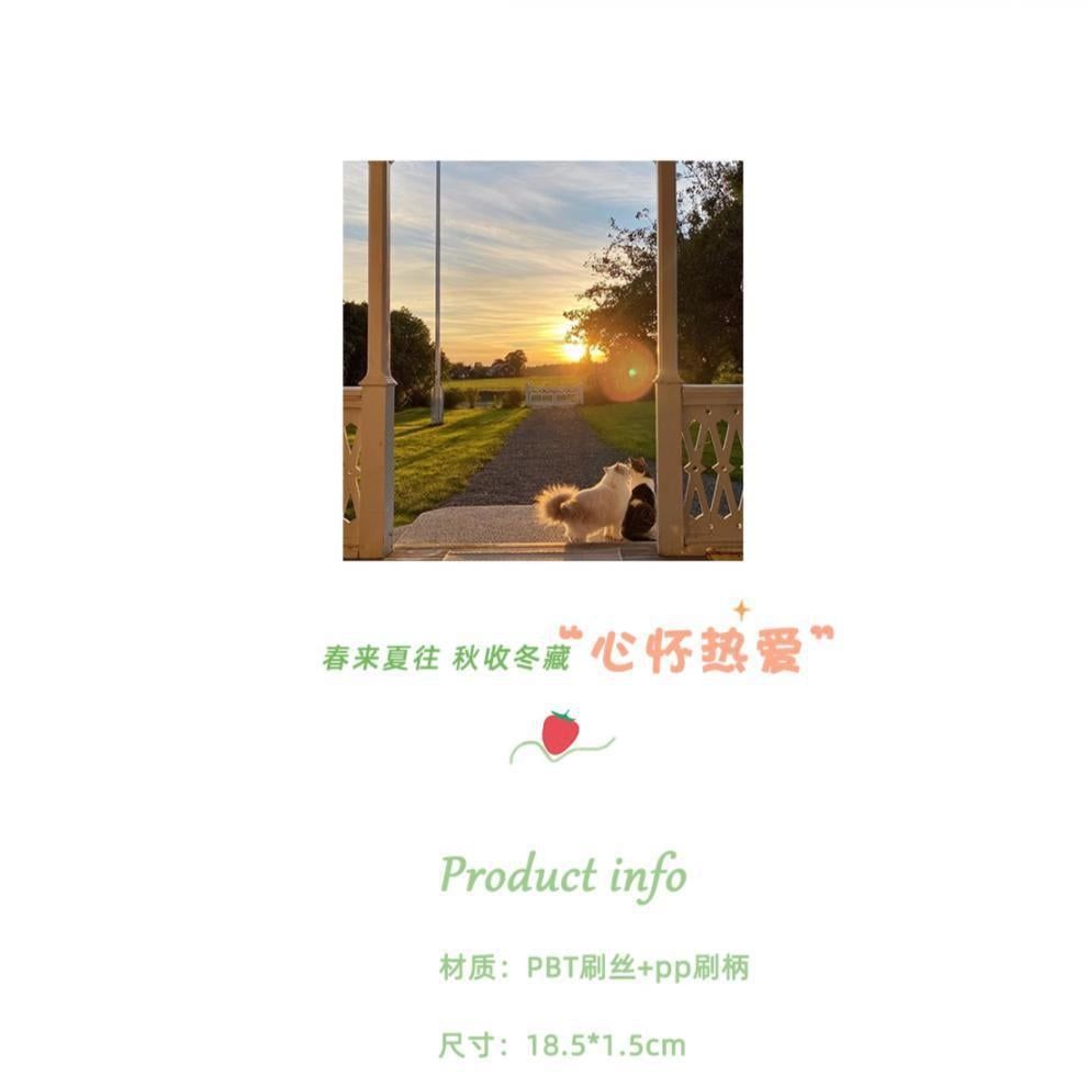  Bàn Chải Đánh Răng Kiểu Nhật Đầu Rộng Lông Mịn Du Lịch Cho Người Lớn [GIAO HÀNG 2-10 NGÀY | SỈ TỪ 2 TRIỆU | CÓ THỂ IN LOGO] 