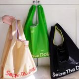  Bộ 10 Túi Gấp Siêu Tiện, Thân Thiện Môi Trường - Giải Pháp Lưu Trữ Di Động! 