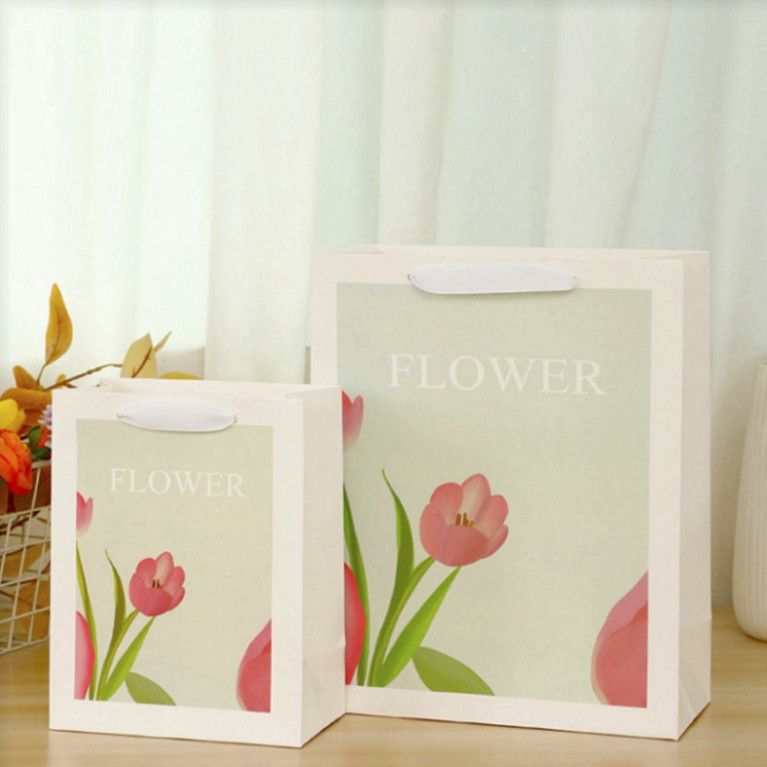  Túi giấy Classy chắc chắn, lý tưởng cho quà tặng và shopping tiện lợi Q1495 