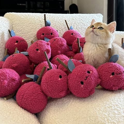  Đồ Chơi Mèo Hình Chú Mèo Catnip Gậy Gặm Nhấm Mài Răng [GIAO HÀNG 2-10 NGÀY | SỈ TỪ 2 TRIỆU | CÓ THỂ IN LOGO] 