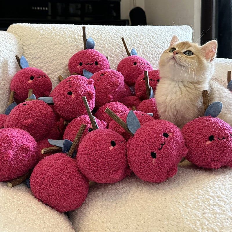  Đồ Chơi Mèo Hình Chú Mèo Catnip Gậy Gặm Nhấm Mài Răng [GIAO HÀNG 2-10 NGÀY | SỈ TỪ 2 TRIỆU | CÓ THỂ IN LOGO] 