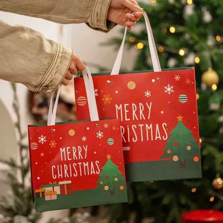  ```Túi giấy giáng sinh cao cấp với quai xách, đa dạng kích cỡ Q1376``` 