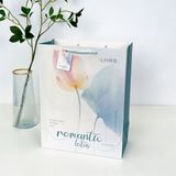 Túi quà xách tay cao cấp retro sinh nhật sang trọng nhẹ nhàng 
